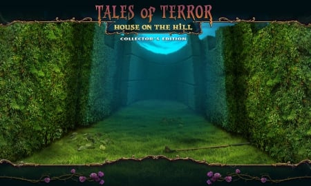 Tales of Terror 2 - House on the Hill05 - fun, puzzle, hidden object, cool, video games