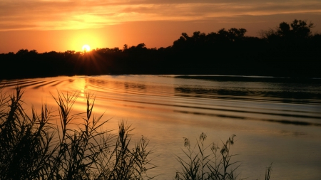 Lake at Sunset - scenery, lakescape, wood, beautiofl, brown, scene, light, ripples, plants, place, nice, 1920x1080, maroon, sunshine, gold, sunset, picture, brightness, high definition, lakes, waterscape, reflections, amazing, evening, splendor, landscape, photo, dawn, forests, mirror, view, twilight, hd, golden, sky, sun, clouds, trees, water, image, photography, scenic, cool, reflex, afternoon, black, awesome, bright, lightness, panorama, day