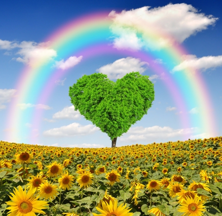 â™¥Love Treeâ™¥ - fields, love, rainbow, heart-shaped tree, sunflowers, popular, heart, summer, field, wallpaper, meadow, spring, nature, rainbows, flower fields, tree