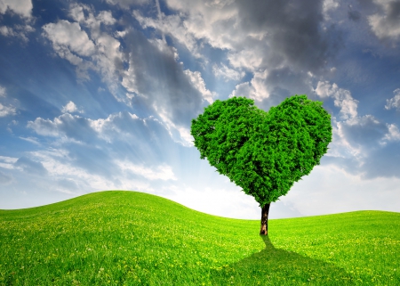 â™¥Love Treeâ™¥ - love, tree, field, heart