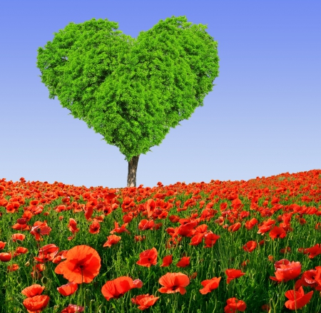 â™¥Love Treeâ™¥ - heart, field, poppy, tree, love