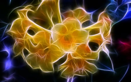 Fractal Flowers