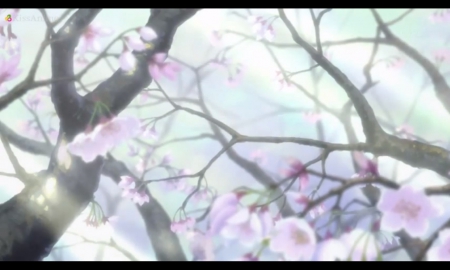 Cherry Tree - beauty, nice, branch, cherry blossom, pretty, petals, anime, plant, sakura blossom, tree, scene, branches, kobato, lovely, nature, sakura, floral, beautiful, pink, blossom, scenery, sweet, flower