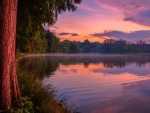 purple dusk over  a beautiful lake