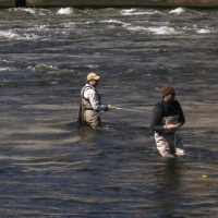 Fly fishing