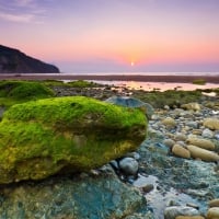 moss covered stones on a beach at sunset