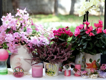 Lovely Mix of Flowers - orchids, flowers, heather, vase in window