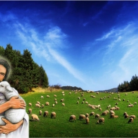 Good shepherd