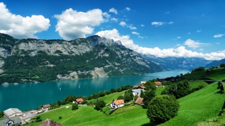 Beautiful Scenery - panaroma, sky, forest, mountains, clouds, trees, grass