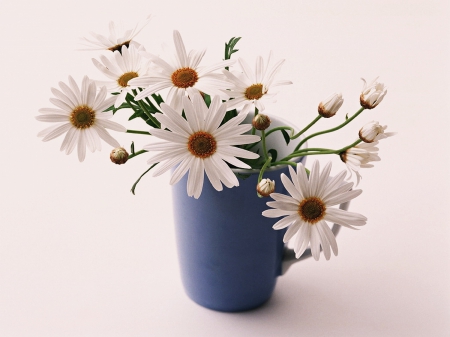 Still Life - flowers, white, blue, mug