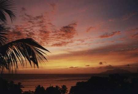 Seychelles Sunset - sky, palm, clouds, beach, colors