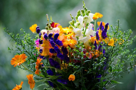 Bouquet of Flowers