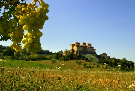 Castello di Torrechiara_Italy - italy, panorama, medieval, italia, vineyard, castle, landscapes, ancient