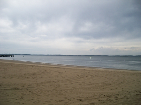 whale - nature, beaches, tracos, whale, france, sea, arcachon