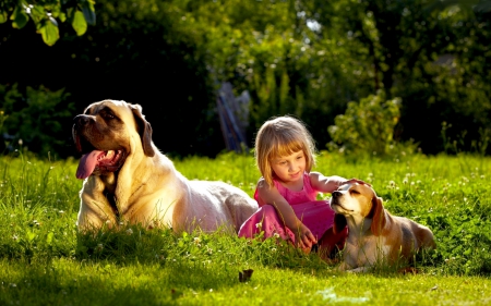 FRIENDS DAY OUT - dogs, girl, friends, field, outdoor