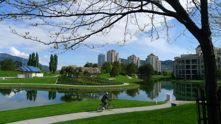 Waterfront Park Scene - lake, bike, reflection, pond, spring