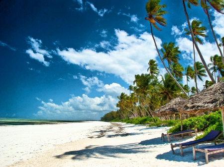 Morning Beach In Zanzibar, Tanzania - palm trees, ocean, beach, white sand, blue sky, africa, huts, beautiful, clouds, grass