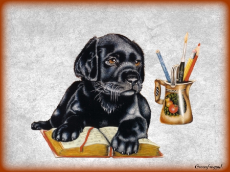 LEARNING - creation, abstract, book, puppy