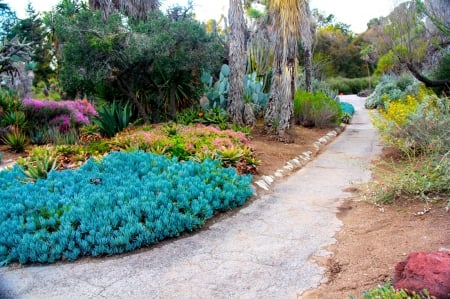 Beautiful garden - flowers, gareden, beauty, blue