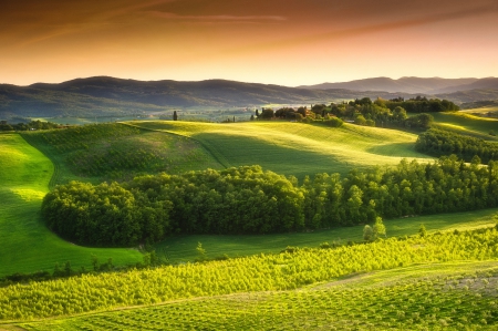 Italy nature - beauty, green, italy, landscape