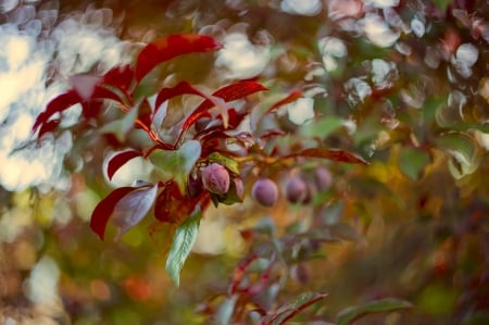 Spring - flower, pink, cute, beautiful, flowers, photo, spring, lovely, nature, green