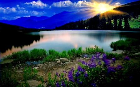 SUMMER MORNING - lake, sky, blossoms, clouds, summer, sunrays