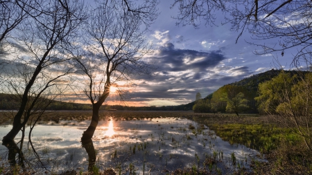 sunrise over wetlands - wetland, mountain, trees, grass, sunrise