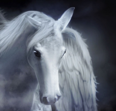 â€¢Stallionâ€¢ - animals, photography, dream, wallpaper, abstract, horse, digital art, stallion, white horse