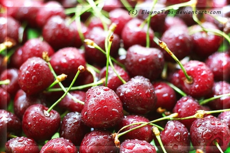 Cherry - abstract, summer, cherry, photography, food, drops, eat, fresh, fruits, wallpaper