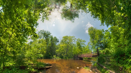 sun rays over bridge on a shallow river - rays, sun, fores, rivermshallow, bridge