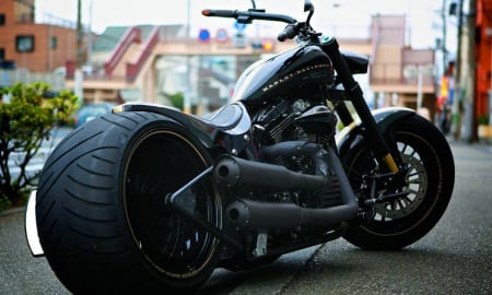 Harley Davidson - harley, chopper, motorcycle, bike