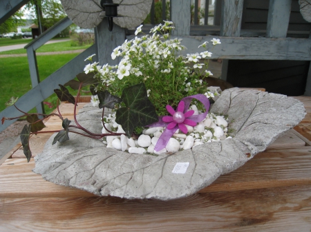 Flower Arrangement - concrete, house, flowers, stones, colors, grass, plants