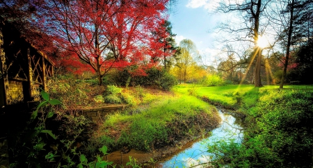 Early Spring Day - fence, trees, north carolina, park, meadow, creek, light blue, red, beautiful, green, grass