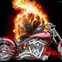smoking hot