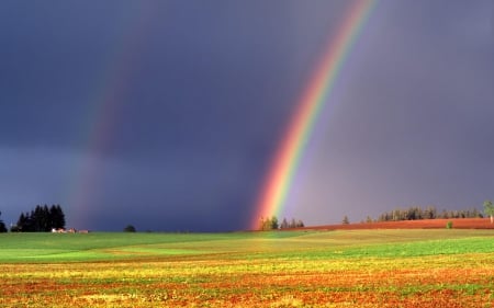 rainbow - trees, rainbow, grass, meadow, sky