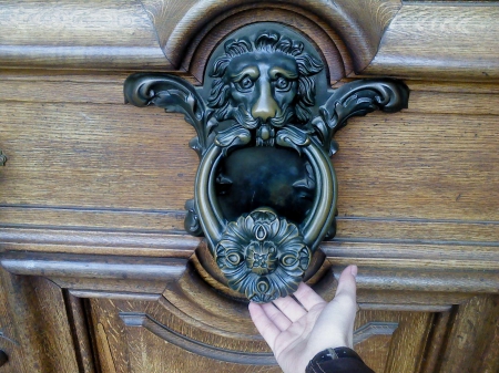 Knocker from Dresden - lion, gate, knocker, wallpaper, dresden, museum, door, germany, theatre