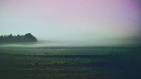 haze - fog, summer, field, haze