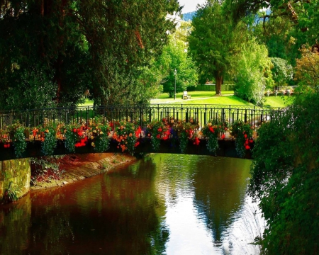 Flowerful Bridge - trees, reflection, river, park, flowers