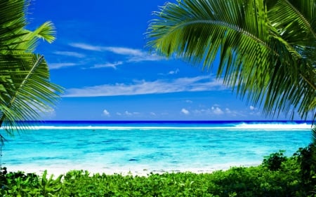 Day at the beach - nature, sky, beach, blue, green