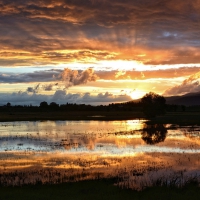 sunset over a swamp lake