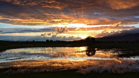 sunset over a swamp lake - clouds, sunset, swamp, lake, grass