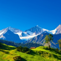 gorgeous swiss alps in summer