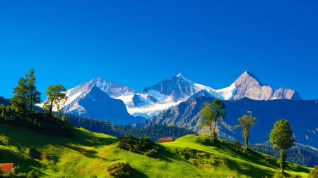 gorgeous swiss alps in summer - sky, snow, summer, meadow, mountains, grass, cabins