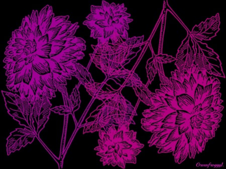 NEGATIVE - flowers, creation, two, abstract