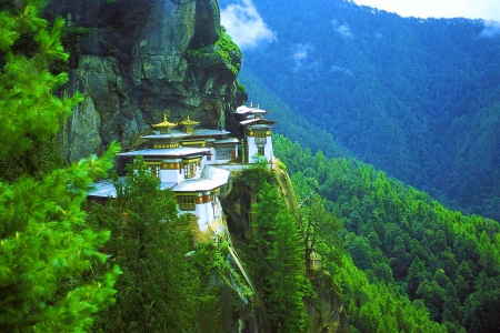 Taktsang (Tiger's Nest) Monastery, Bhutan - himalayas, trees, buddhist, forest, beautiful, cliffside, mountains, sacred temple