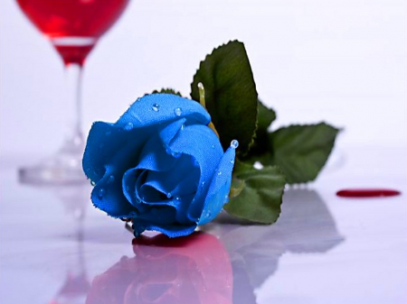 Blooming blue - flower, rose, drink, blue