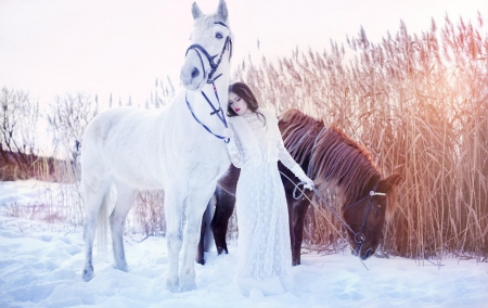 Beauty with Horse - horses, winter, lady, beauty