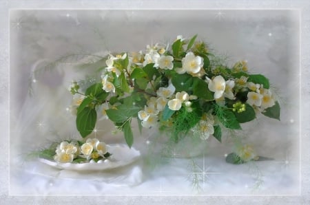 Still life - nature, flowers, lovely, soft