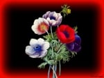 FLOWERS WITH RED BOARDER