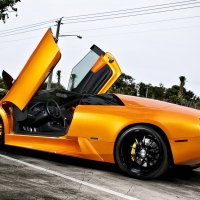 Sweet Gold Lambo